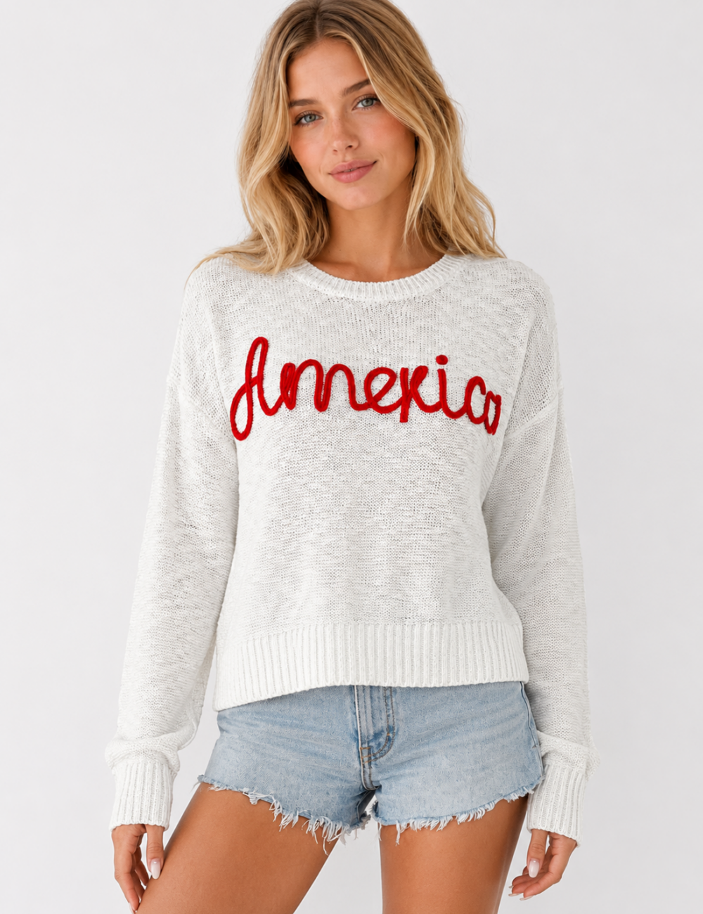 Ladies America Embroideries Low Round Neck Sweater