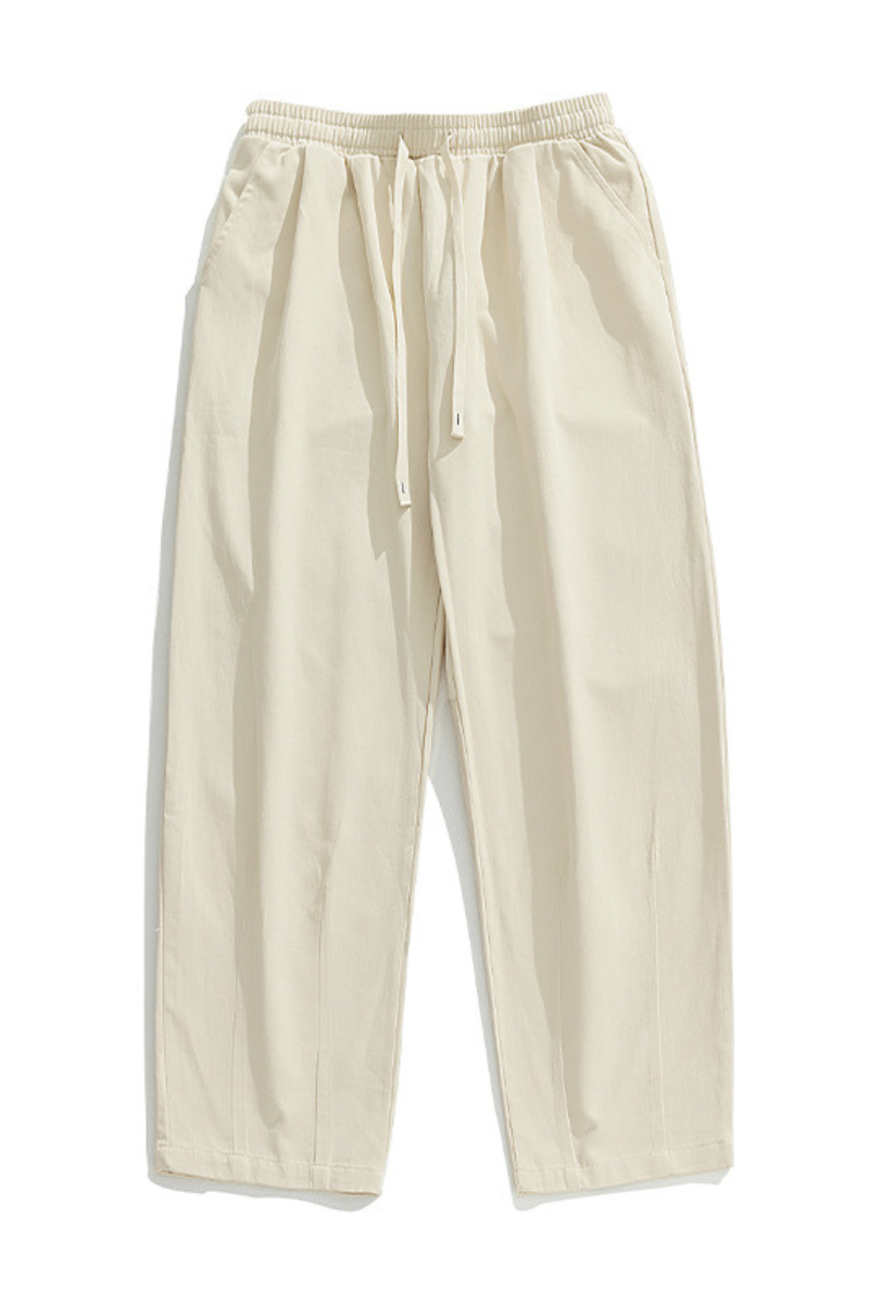 Men's Spring Japan Draped Double Pleated Fleece Pants