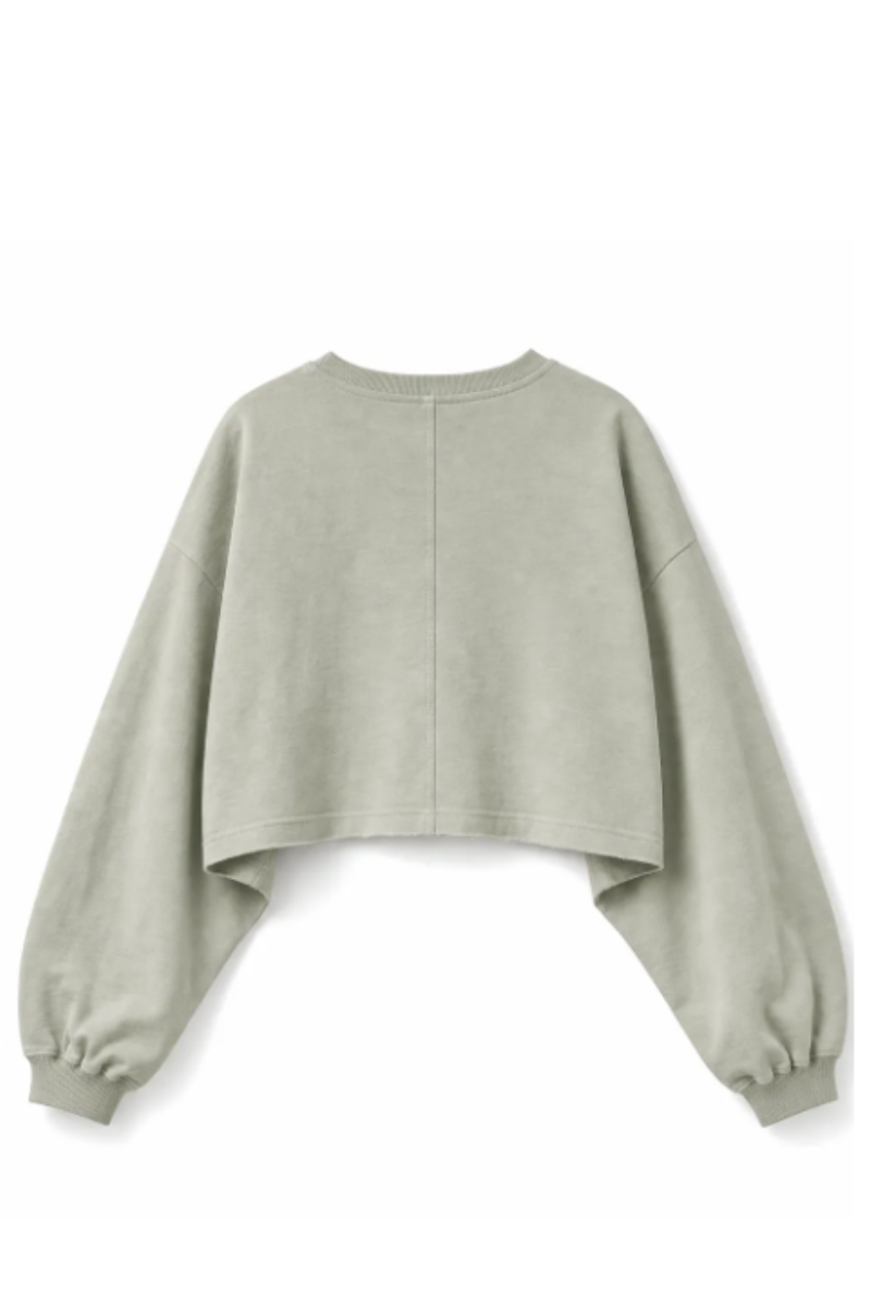 Women Spring Lightweight Cropped Batwing Long Sleeve Top