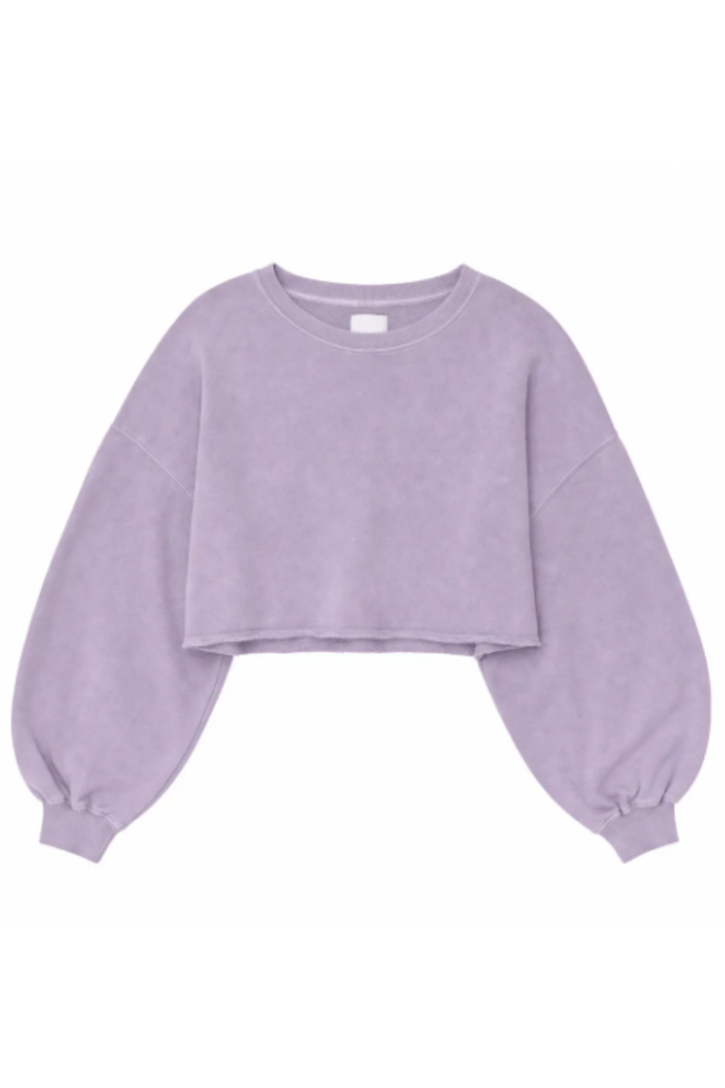 Women Spring Lightweight Cropped Batwing Long Sleeve Top