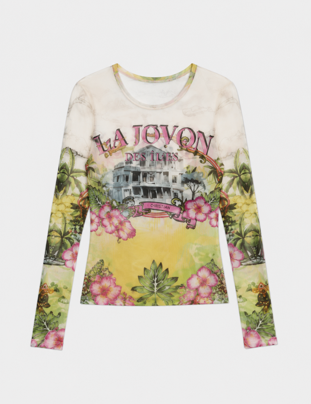 Ladies Casual Graphic Print Sheer Mesh Long Sleeves Top