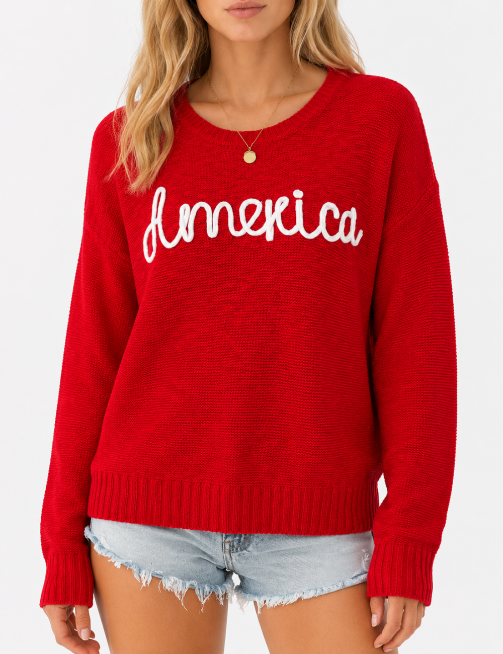 Ladies America Embroideries Low Round Neck Sweater