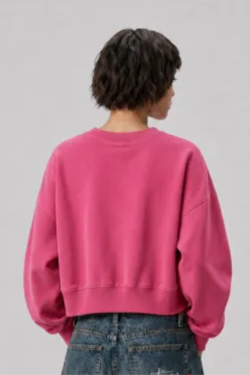 Women's Fall Clothing Dazzling-Wash Cropped Crew Sweatshirt