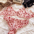 Ladies Heart Embroidery See Through 2PCS Lingerie Set SKLG4065