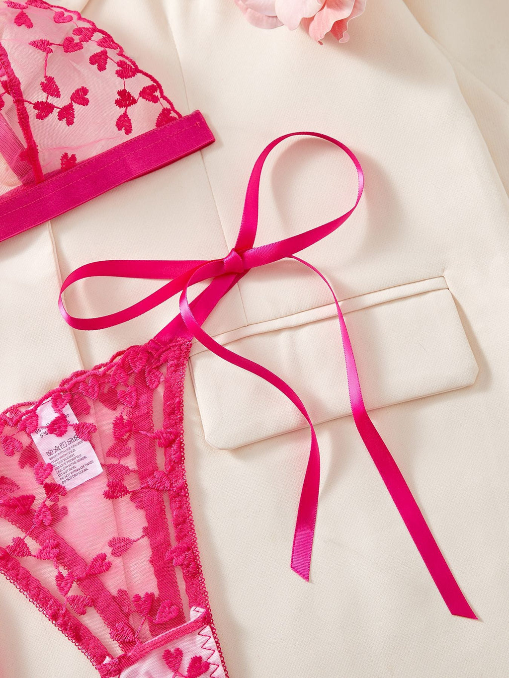 Ladies Heart Embroidery triangle 2PCS Lingerie Set SKLG4129