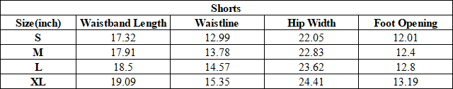 Men's Summer Satin Beach 5" Waterproof Quick Dry Shorts