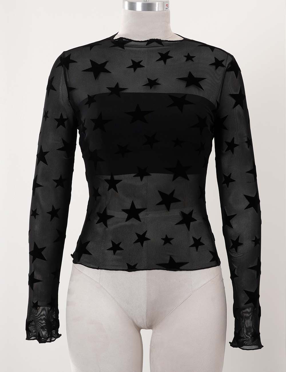 Ladies Chic Star Mock Neck Sheer Mesh Long Sleeves Layering Top