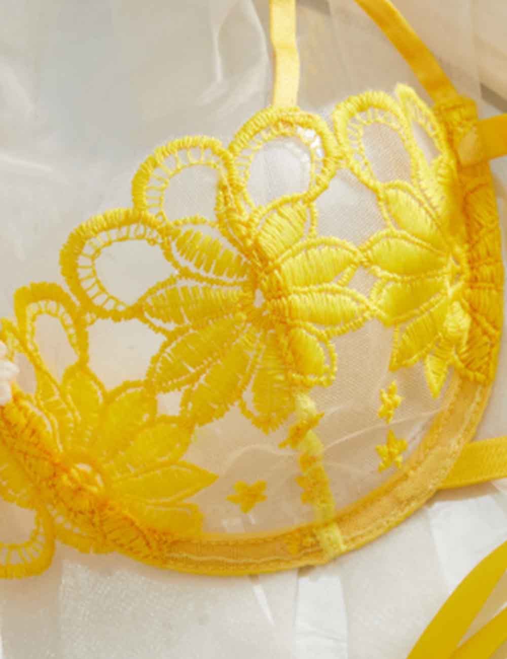 Ladies Sexy Sheer Floral Embroidery Bow Tie Lingerie Set